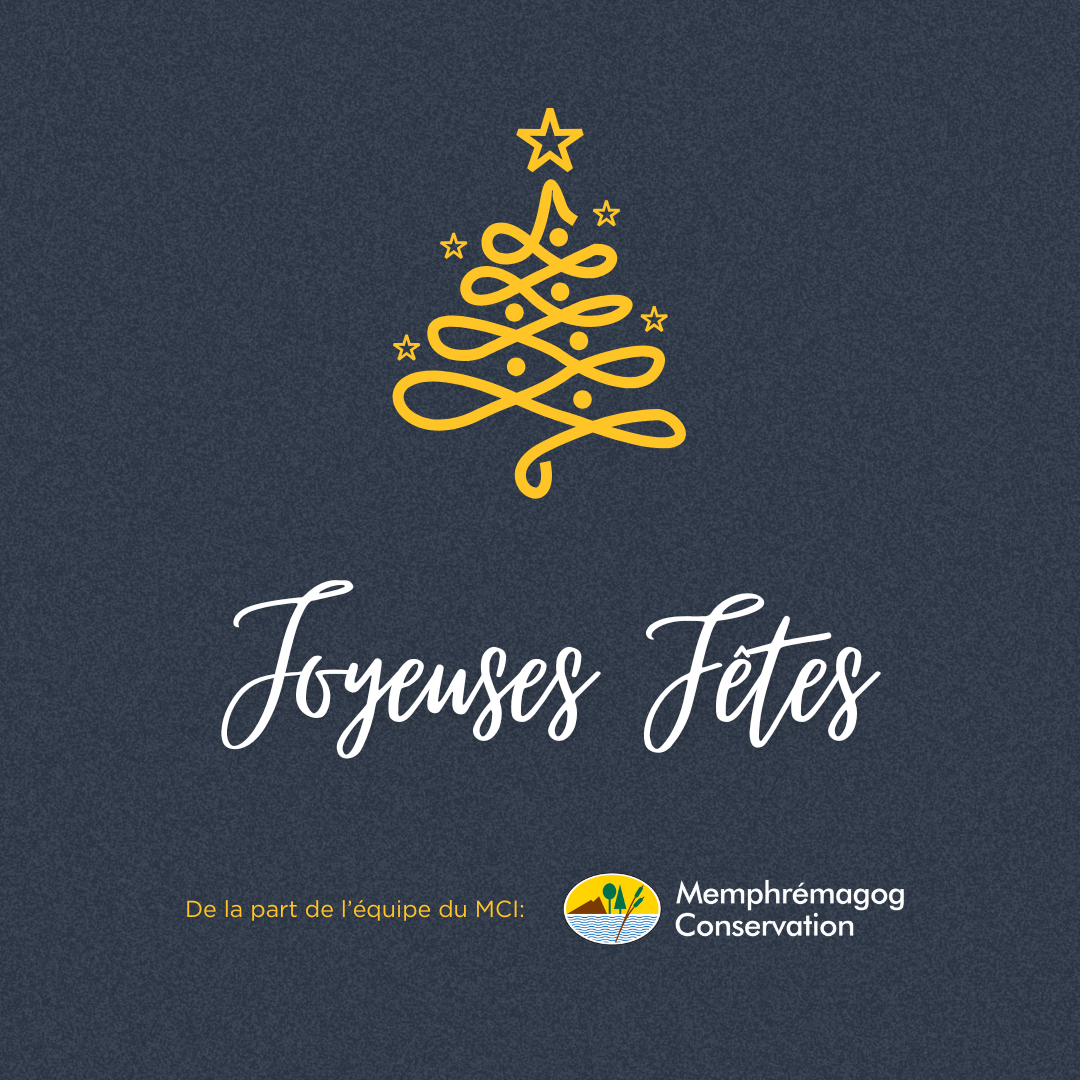 Joyeuses fêtes